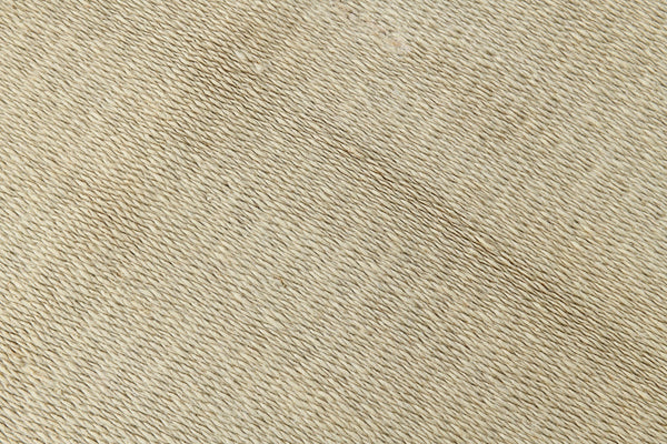 Modern Hemp Kilim 2’6’’ x 4’11’’ ft